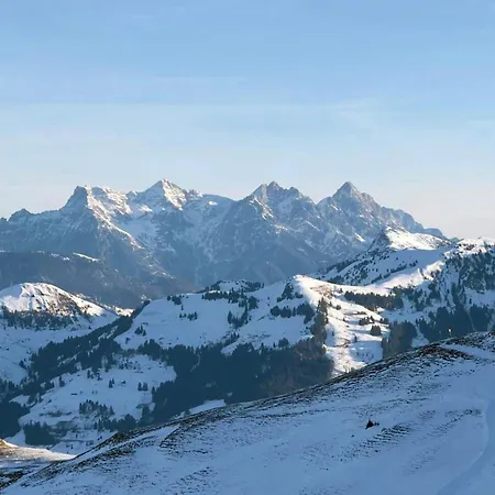 Luxury Kirchberg Alpesi faház